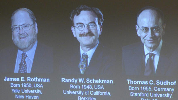 Nobel Y học 2013