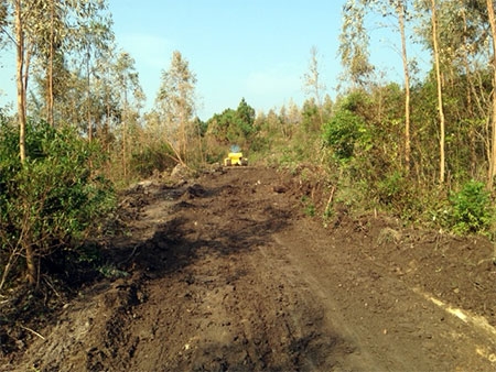 Nơi an táng Đại tướng