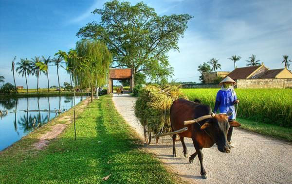 N&ocirc;ng th&ocirc;n