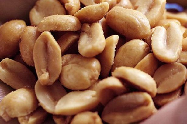 Nghi&ecirc;n cứu cho thấy phần trăm t&igrave;m ra thuốc chữa trị bệnh dị ứng đậu phộng l&agrave; rất cao 