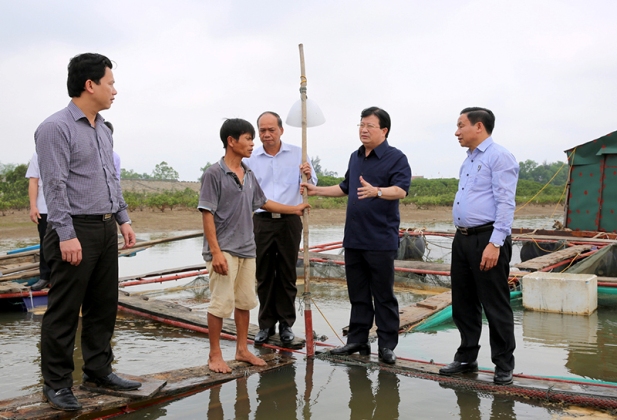 Ph&oacute; Thủ tướng Trịnh Đ&igrave;nh Dũng 