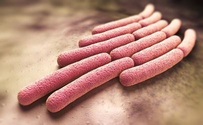 Khuẩn Shigella b&ugrave;ng ph&aacute;t, g&acirc;y ra bệnh ti&ecirc;u chảy nặng