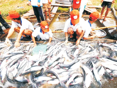 Khai th&aacute;c thủy sản Tiền Giang