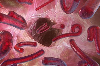 Tin khoa học cập nhật c&aacute;c triệu chứng ảnh hưởng l&acirc;u d&agrave;i của dịch bệnh Ebola