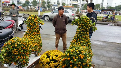 Tin tức mới nhất Hội chợ hoa xu&acirc;n c&oacute; cả những kỳ vật c&oacute; gi&aacute; bạc tỷ