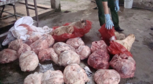 Một vụ bắt vận chuyển thịt bẩn từ nguồn tin b&aacute;o qua điện thoại.