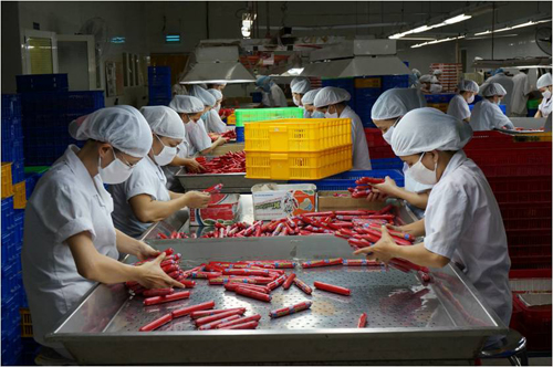 Nh&acirc;n vi&ecirc;n tại nh&agrave; m&aacute;y AFF đang kiểm lựa th&agrave;nh phẩm