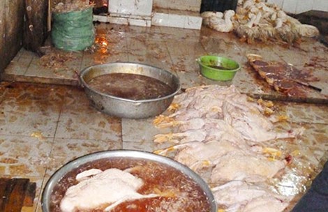 Nhiều cơ sở mất vệ sinh an to&agrave;n 13Win OKVIP Cá cược bóng đá bị ph&aacute;t hiện trong những ng&agrave;y gi&aacute;p Tết Ất M&ugrave;i