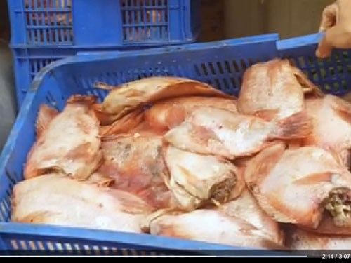 Thực phẩm bẩn ng&agrave;y c&agrave;ng tr&agrave;n lan v&agrave;o trường học l&agrave; tin tức mới nhất được đề cập 