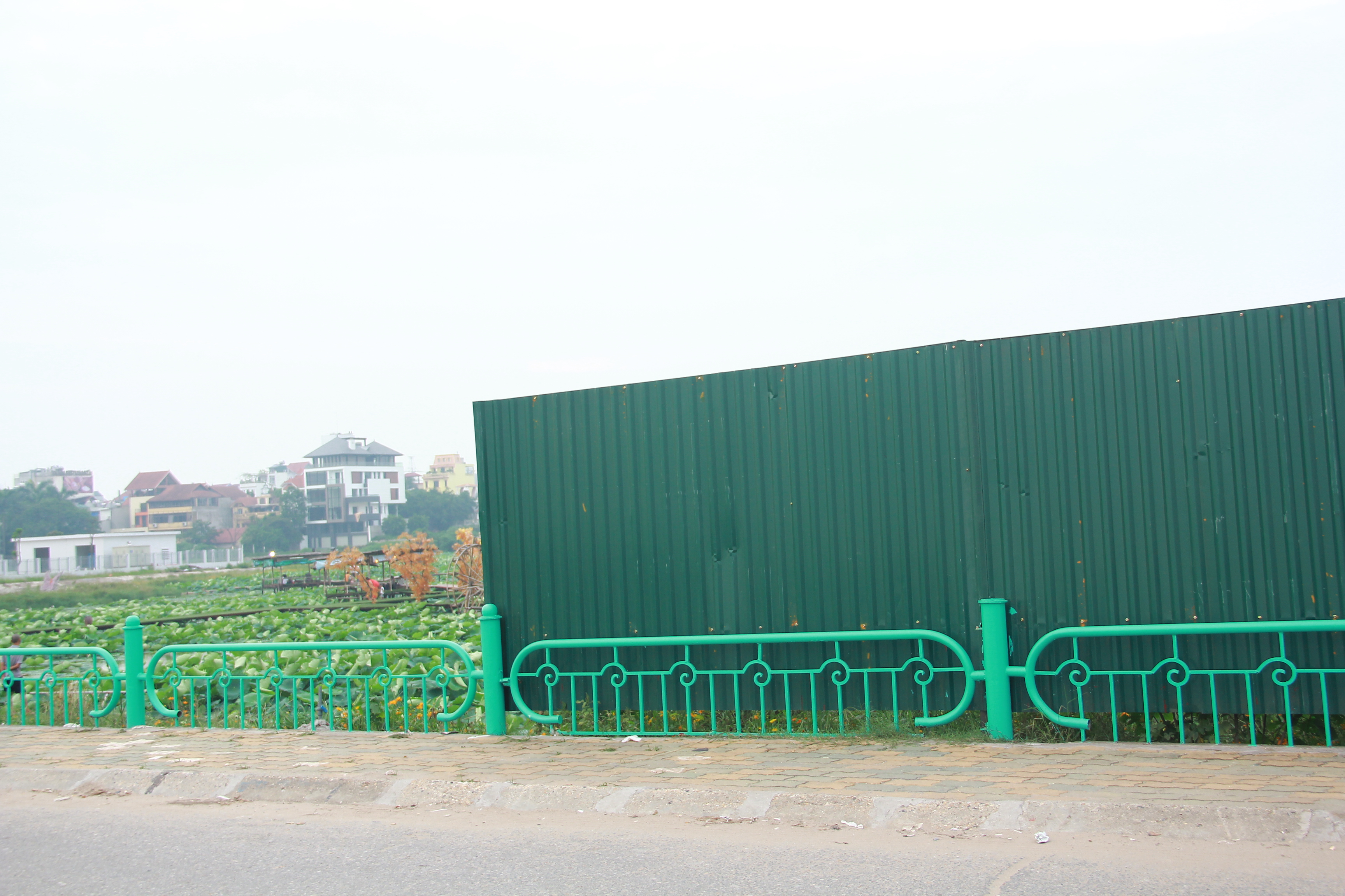 Những du khách muốn vào ngắm sen hoặc chụp ảnh phải mua vé vào cửa 