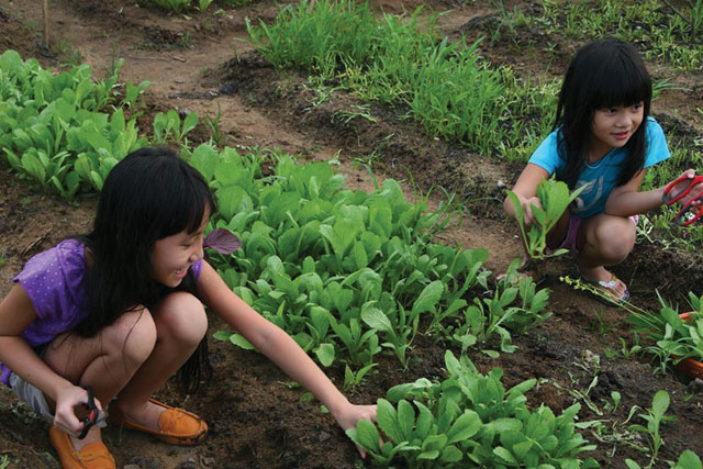 Family Garden Thảo Điền - địa điểm đi chơi thú vị ngày 1/6