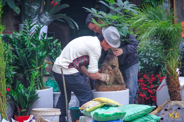 Chợ Bưởi truyền thống ngày nay vẫn giữ được nếp xưa, một tháng 6 phiên chợ là dịp để người bán, người mua trao đổi với nhau những mặt 13Win22 com tỷ lệ cược cao phải chợ nào cũng có.