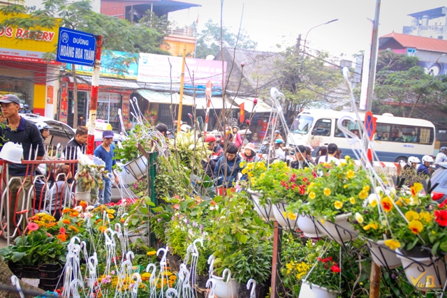 Phiên chợ Bưởi tại đường Hoàng Hoa Thám nhộn nhịp người mua, kẻ bán dịp cuối năm.