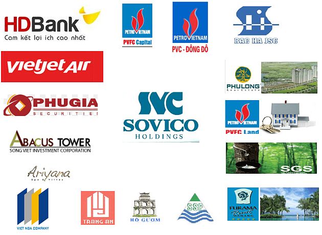 Tập đoàn này hiện là cổ đông chính của HDBank, Chứng khoán Phú Gia, Công ty Quản lý Quỹ Tài chính Dầu khí PVFC Capital. Trong lĩnh vực BĐS, Sovico Holdings đã mua lại khu resort Furama ở Đà Nẵng; rót vốn vào Khách sạn Hồ Gươm tại Hà Nội, Dự án Ariyana ở Đà Nẵng, CTCP Địa ốc Phú Long (dự án Dragon City), Abacus Tower tại Quận 1, TP.HCM… 