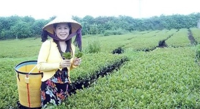 Chưa nhận được tin đ&atilde; bắt kẻ giết nữ doanh nh&acirc;n H&agrave; Linh