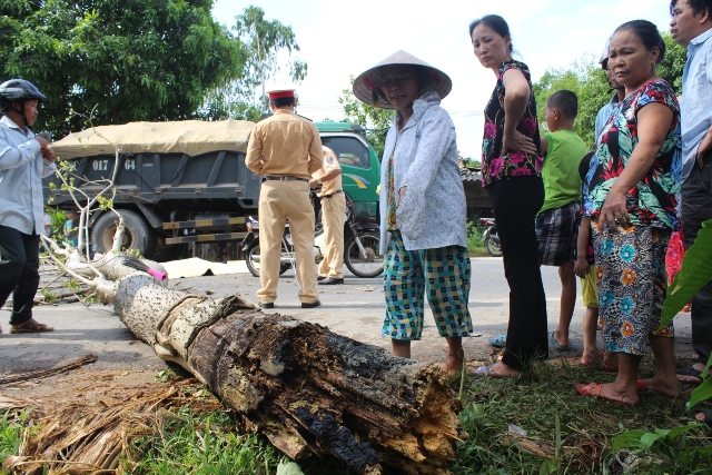 Vụ tai nạn giao th&ocirc;ng hy hữu đ&atilde; cướp đi sinh mạng anh V&otilde; T&aacute; Lục