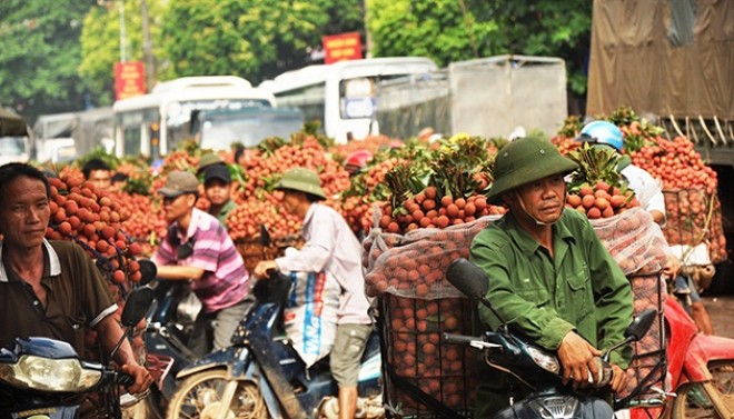 Người H&agrave; Nội ra đường cũng mua được vải thiều 'xịn