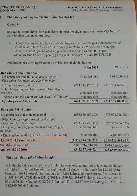 Chụp lại b&aacute;o c&aacute;o t&agrave;i ch&iacute;nh của Tập đo&agrave;n Mai Linh năm 2015