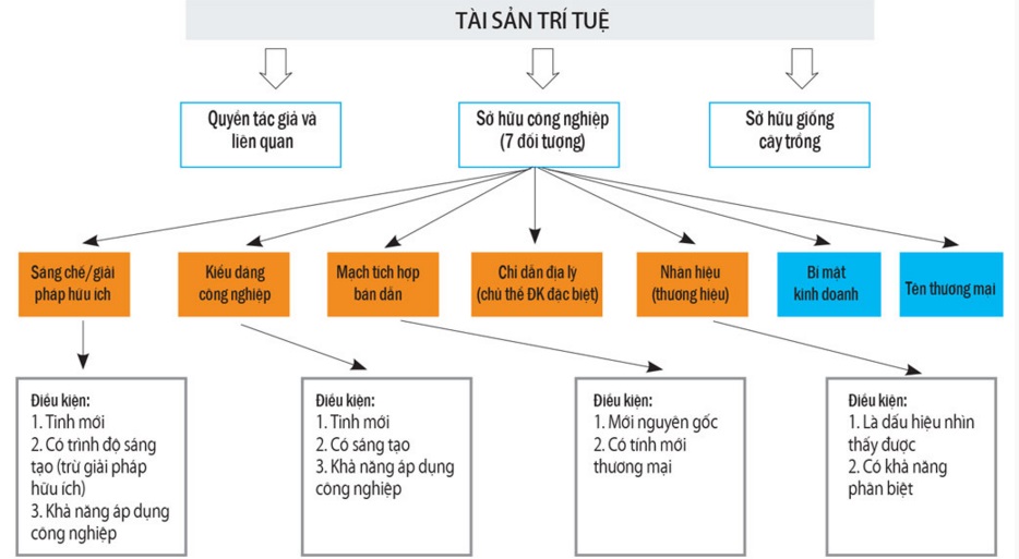Sở hữu tr&iacute; tuệ gồm 3 nh&oacute;m ch&iacute;nh l&agrave; quyền t&aacute;c giả v&agrave; li&ecirc;n quan, sở hữu c&ocirc;ng nghiệp v&agrave; sở hữu giống c&acirc;y trồng