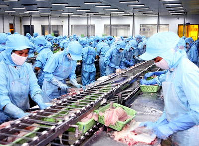 B&aacute;o động chất cấm trong thủy sản xuất khẩu