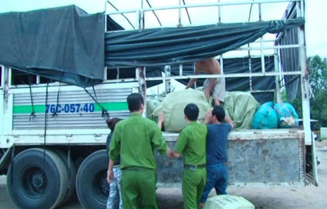 Cơ quan chức năng bắt giữ hơn 700kg heo sữa kh&ocirc;ng r&otilde; nguồn gốc xuất xứ