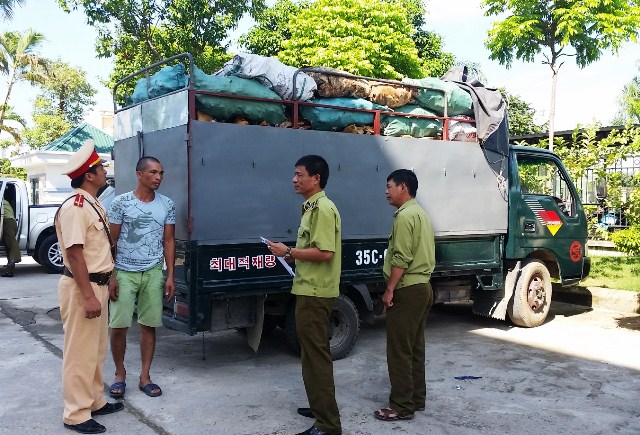 Xe &ocirc; t&ocirc; tải chờ 3,6 tấn xương động vật h&ocirc;i thối kh&ocirc;ng r&otilde; nguồn gốc
