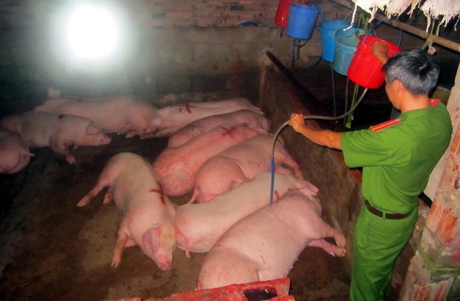 Thực phẩm bẩn tr&agrave;n lan tr&ecirc;n khắp thị trường, g&acirc;y hoang mang cho người 13Win18 đa dạng khuyến mãi