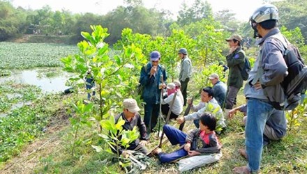 Việc thương l&aacute;i Trung Quốc thu mua r&ugrave;a với gi&aacute; h&agrave;ng triệu đồng đặt một dấu hỏi lớn