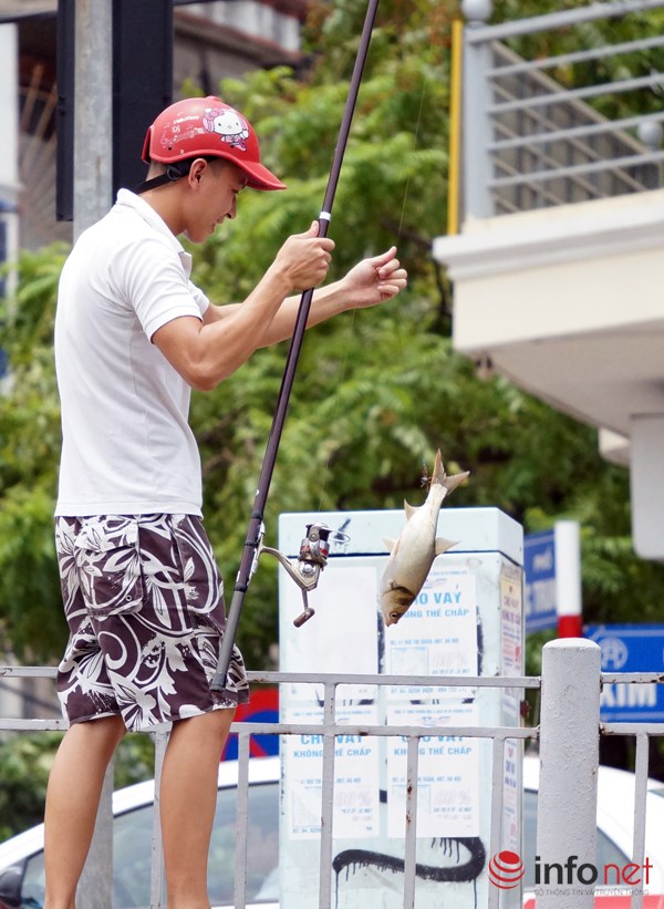 Nhiều người mang cần ra câu và được những con cá khá to.