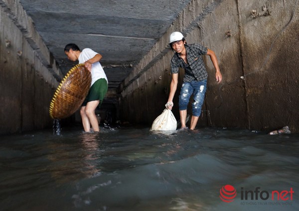 Với những người lớn tuổi hơn thì họ mang theo vợt hoặc rổ để vớt cá.