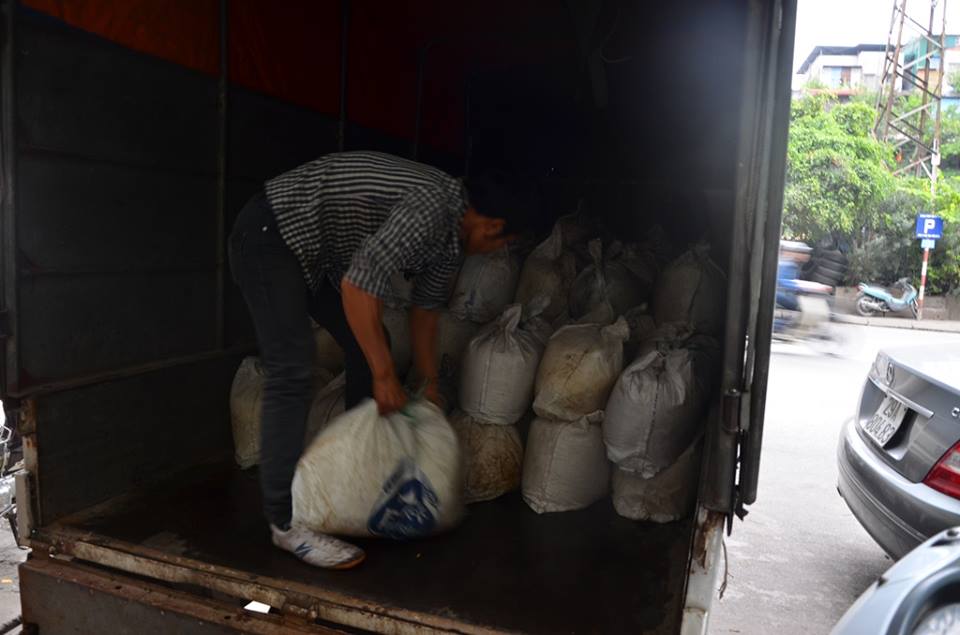 Đưa số ng&oacute; sen về cơ quan chức năng