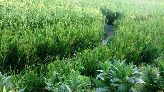 Hiện trường nơi phát hiện thi thể. Ảnh: Dân Trí Hiện trường nơi phát hiện thi thể. Ảnh: Dân Trí