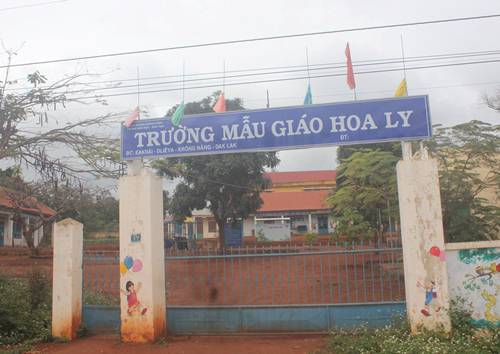 Trường Mẫu Gi&aacute;o Hoa Ly nơi b&eacute; g&aacute;i bị đ&aacute;nh theo học
