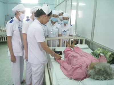 Bệnh nh&acirc;n tiểu đường biến chứng nặng v&igrave; qu&aacute; tin v&agrave;o c&ocirc;ng năng của hoa c&uacute;c b&aacute;ch nhật