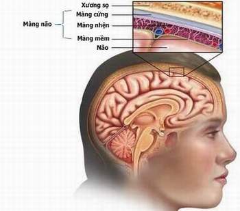 Dấu hiệu của bệnh vi&ecirc;m n&atilde;o