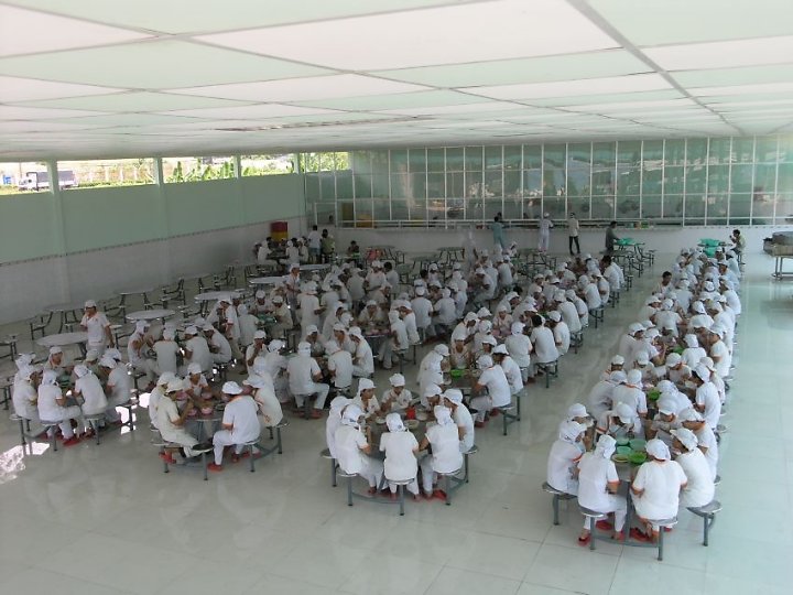 &Aacute;p dụng HTQL theo ti&ecirc;u chuẩn ISO 22000 cho bếp ăn tập thể