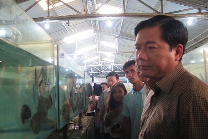 B&iacute; thư Đinh La Thăng thăm c&ocirc;ng ty xuất khẩu c&aacute; cảnh