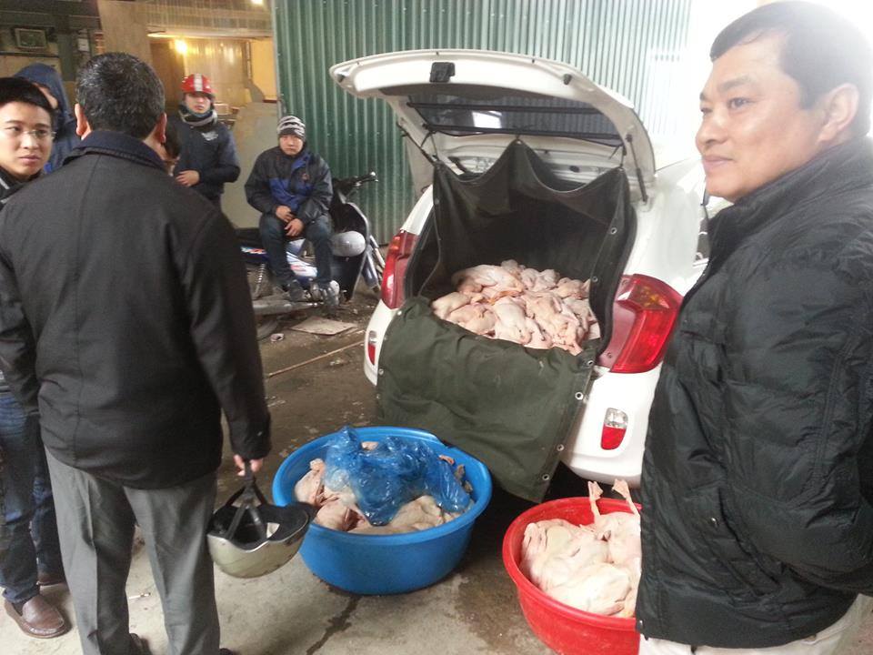 vịt được bơm hơi vịt được bơm hơi