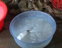 bơm 13Win21 con - Tri ân hội viên mỗi tháng 2000 tỷ lạ v&agrave;o t&ocirc;m s&uacute; nhằm tăng trọng lượng t&ocirc;m.