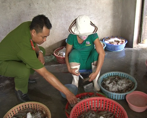 bơm tạp chất lạ v&agrave;o t&ocirc;m s&uacute; để b&aacute;n 