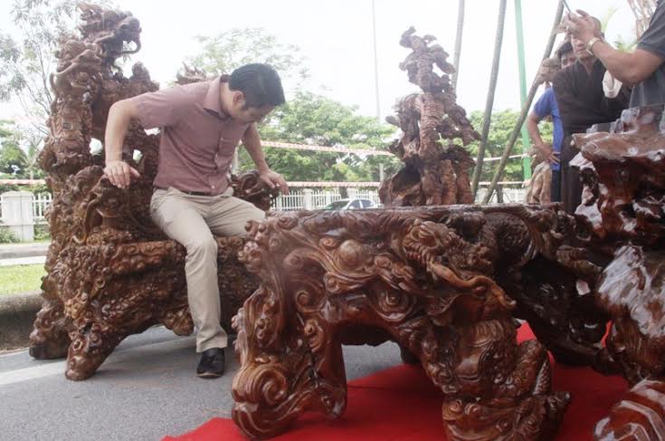 dai-gia-tre-tuyen-quang-khoe-bo-ghe-go-nghin-tuoi
