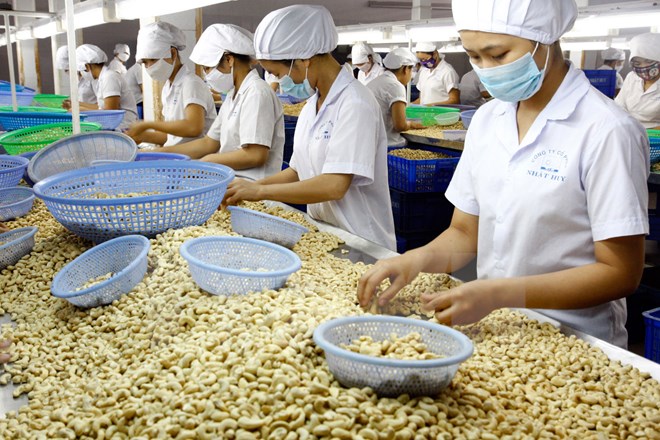 Nếu việc hợp t&aacute;c giữa Bờ Biển Ng&agrave; v&agrave; B&igrave;nh Phước th&agrave;nh c&ocirc;ng, năng suất chất lượng của ng&agrave;nh điều sẽ được cải thiện r&otilde; rệt