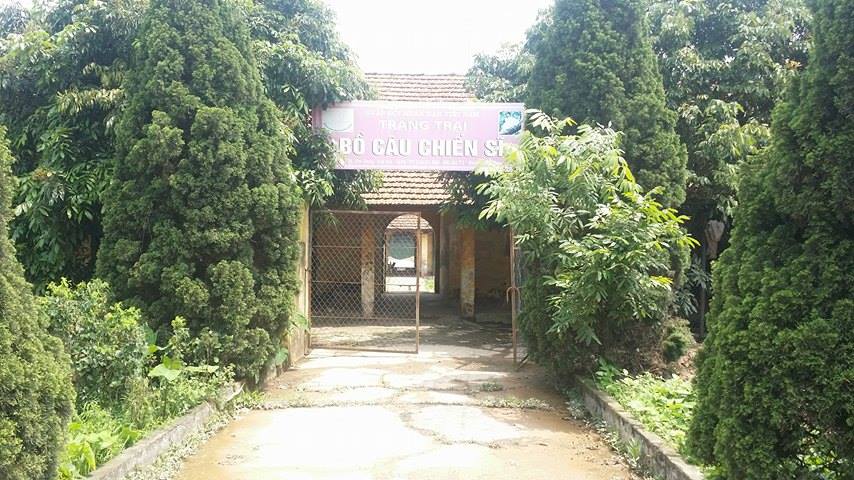 Dự &aacute;n trang trại Bồ c&acirc;u chiến sĩ của Đại &uacute;y Ho&agrave;ng Trung H&agrave; được thủ trưởng đơn vị đ&aacute;nh gi&aacute; kh&aacute; cao
