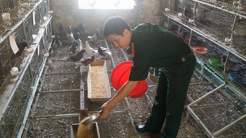 Đại &uacute;y Ho&agrave;ng Trung H&agrave; đang cho chim bồ c&acirc;u ăn