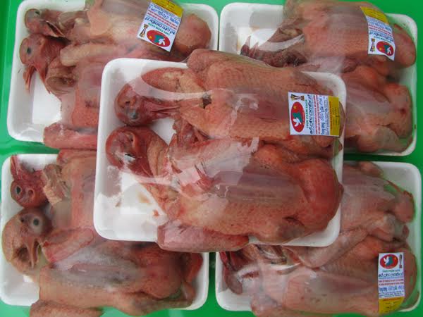 Thịt chim bồ c&acirc;u được đ&oacute;ng g&oacute;i, giao tận nơi nếu kh&aacute;ch h&agrave;ng c&oacute; nhu cầu