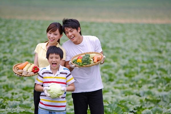 Sai lầm trong ăn uống khiến cơ thể kh&ocirc;ng được cung cấp đủ chất dinh dưỡng