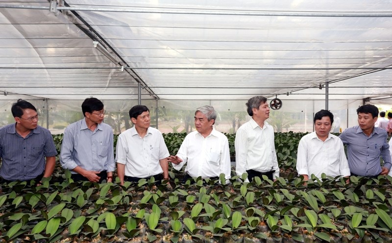 Bộ trưởng Nguyễn Quân thăm mô hình trồng lan Đế vương (Hoàng Hậu) Ly 9 tại Khu thực nghiệm sản xuất nông nghiệp Công nghệ cao (Sở KH&CN Bắc Ninh) Bộ trưởng Nguyễn Quân thăm mô hình trồng lan Đế vương (Hoàng Hậu) Ly 9 tại Khu thực nghiệm sản xuất nông nghiệp Công nghệ cao (Sở KH&CN Bắc Ninh)