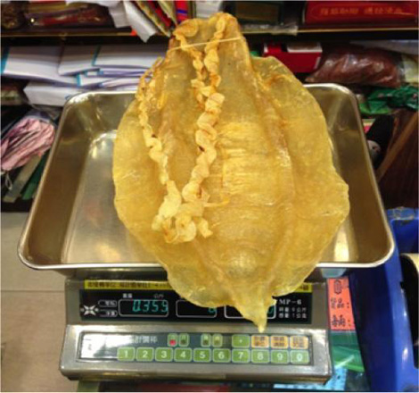 Bong b&oacute;ng c&aacute; rất được giới thượng lưu ở Trung Quốc ưa chuộng