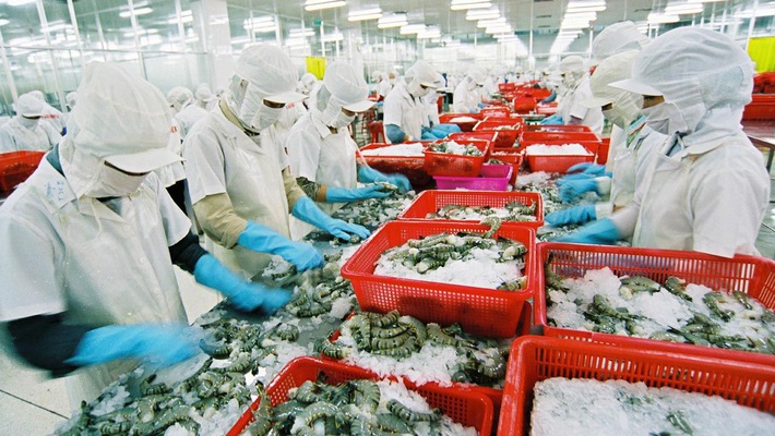 Thủy sản xuất khẩu v&agrave;o Trung Quốc đ&ograve;i hỏi ph&aacute;p đ&aacute;p ứng c&aacute;c ti&ecirc;u ch&iacute; khắt khe