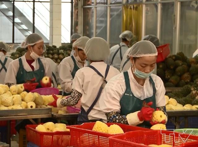Nhập khẩu n&ocirc;ng sản của Trung Quốc h&agrave;ng năm rất lớn nhưng cũng đ&ograve;i hỏi ng&agrave;y c&agrave;ng khắt khe